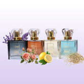 PACK OF 4 (Signatures perfume’s)