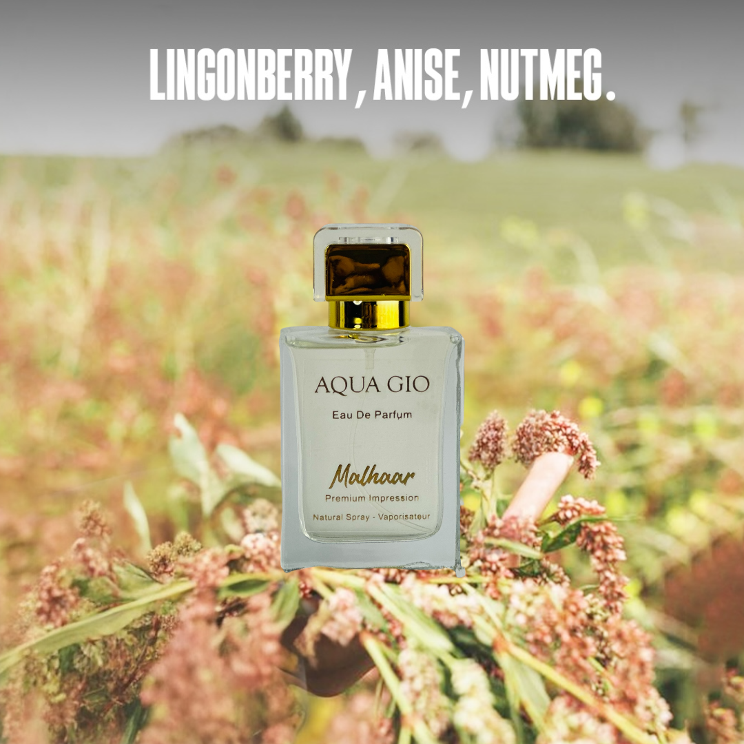 AQUA GIO (Inspiration of Aqua di Gi*)